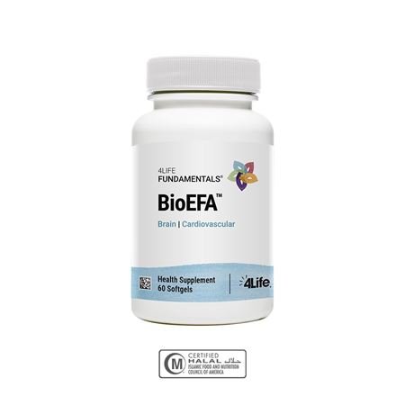 BioEFA